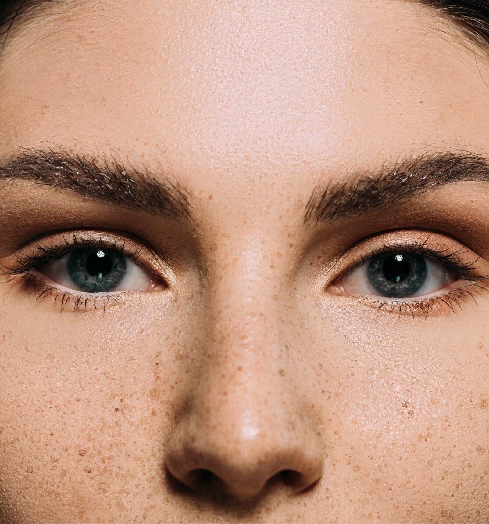 Close-up of upper half of a model